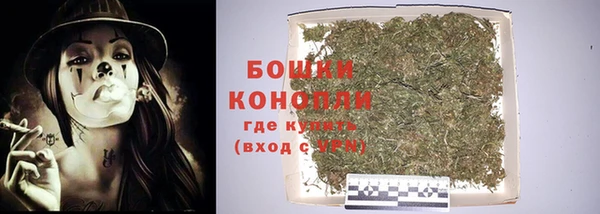 ГАЛЛЮЦИНОГЕННЫЕ ГРИБЫ Горняк