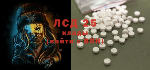 ГАЛЛЮЦИНОГЕННЫЕ ГРИБЫ Горняк