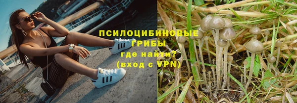 2c-b Горнозаводск