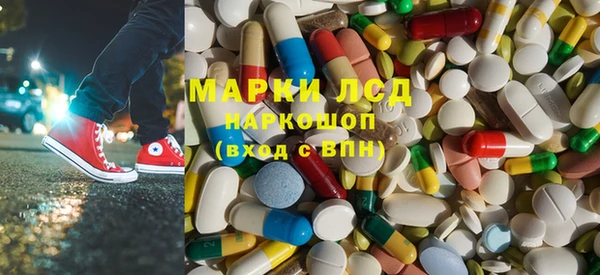ГАЛЛЮЦИНОГЕННЫЕ ГРИБЫ Горняк
