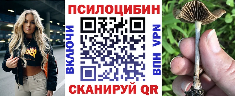 закладка  Задонск  мега зеркало  Псилоцибиновые грибы прущие грибы 